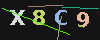 Gambar captcha